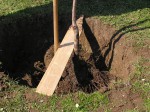 Das Pflanzloch sollte großzügig bemessen und gleichmäßig angelegt werden, dazu kann auf simple Hilfsmittel wie ein Brett oder eine Schnur zurückgegriffen werden.