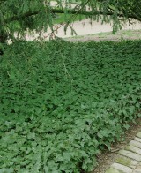 Gartenmöbel bambus